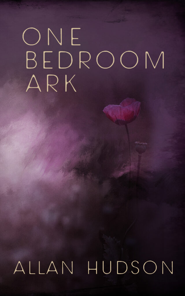 Cover of One Bedroom Ark